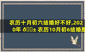 农历十月初六结婚好不好,2020年 🐱 农历10月初6结婚是好日子吗